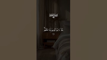 ايه الكرسي ماهر المعيقلي تلاوه خاشعه ماهر المعيقلي#قران #ماهرالمعيقلي #quran #قران_كريم #تلاوة_خاشعة