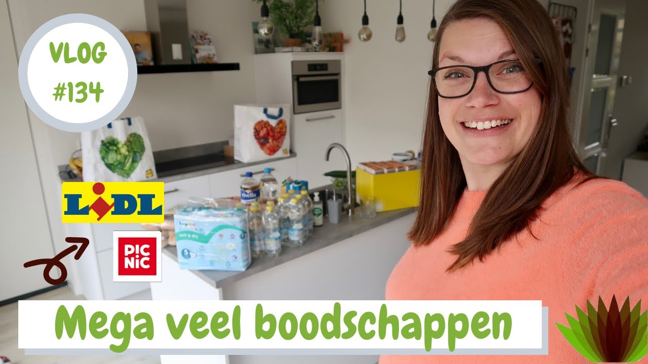 mega-boodschappenshoplog-lidl-picnic-wat-eten-we-vandaag-nadeel