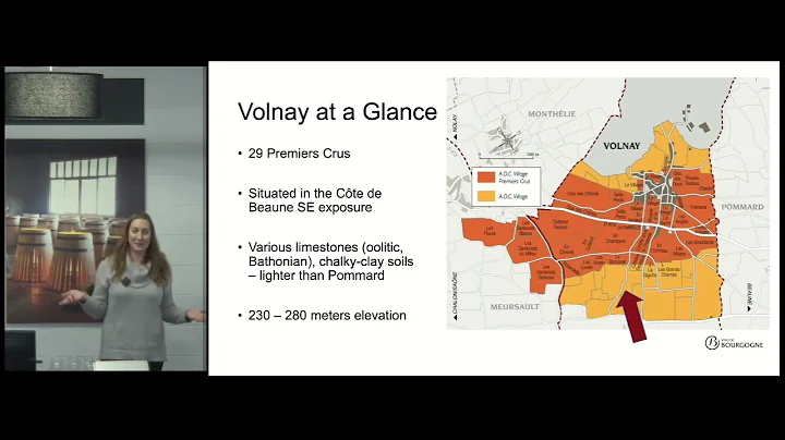 Volnay - Burgundy Masterclass - Napa Valley Wine Academy