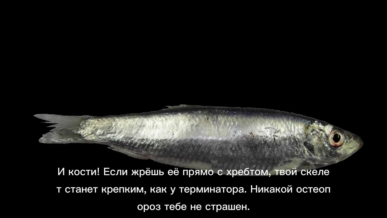 Как влияет килька на организм