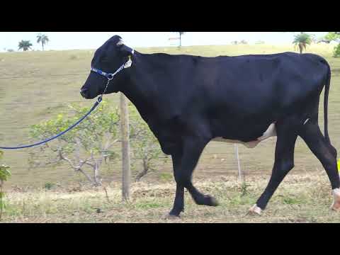LOTE 28 6346 CE