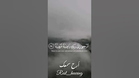 قراءه هادئه لما تيسر من سوره الفجر