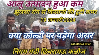 19 जनवरी 2024/आलू का उत्पादन कम और झुलसा रोग ने किसानो की तोड़ी कमर किसान हुए बेहाल छिबरामऊ मंडी