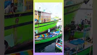 TMS HITS #shortvideo #tms #tmssongs #tmshorts #devotional #msv