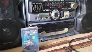 radio simba 2 sharp