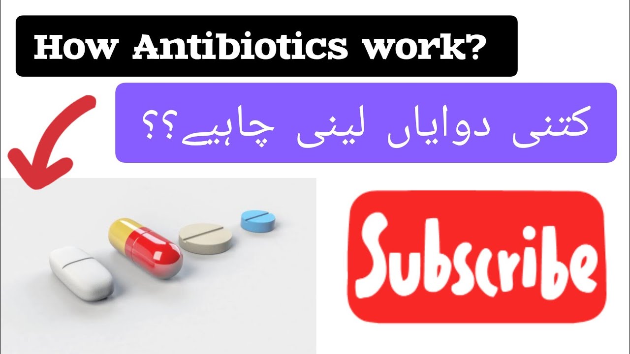 HOW ANTIBIOTICS WORK IN BODY ? Effects of Drugs , Effects of ...