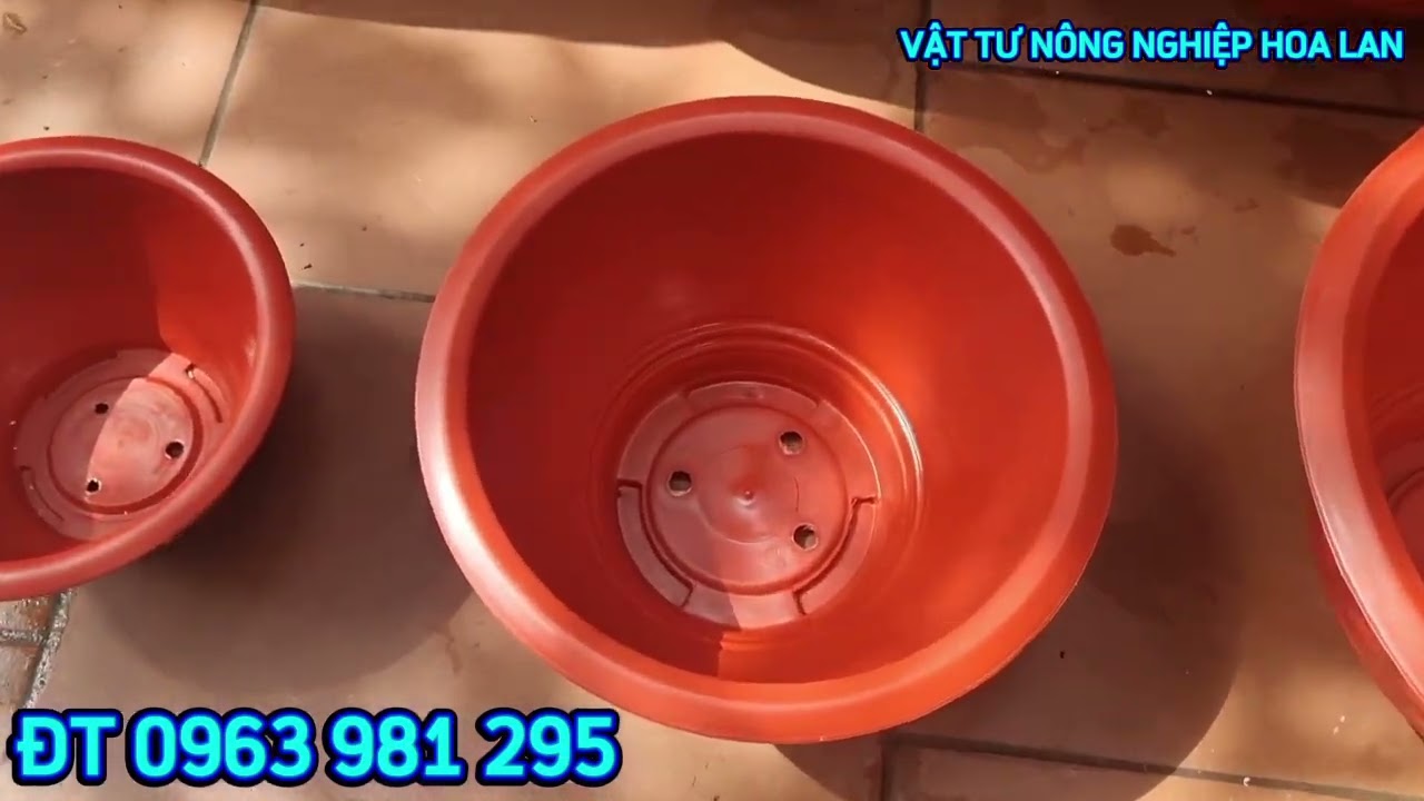 CHẬU NHỰA PHÚC LỘC THỌ GIÁ RẺ GIỚI THIỆU MẪU CHẬU T28, CHẬU T38 & CHẬU T48 HÀNG ĐẸP #chậunhựagiárẻ