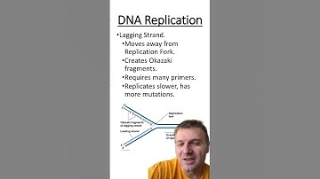 Leading vs. lagging strand of DNA Replication