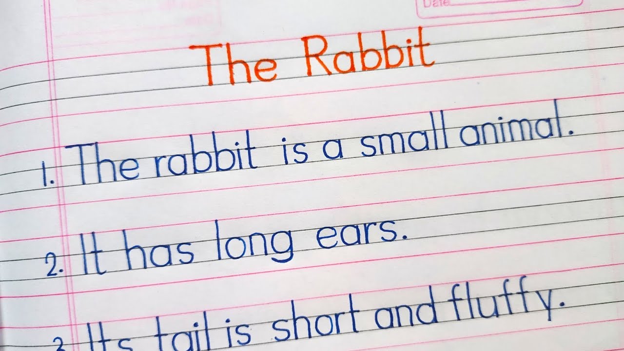 my pet rabbit essay for class 6