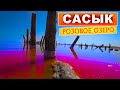 Розовое озеро в Крыму. Сасык - Сиваш. Красивейшие места Крыма