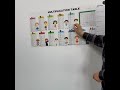 Video Image