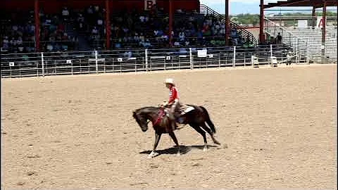The Horse Shelter's Trainer Challeng - Dale Fastle...