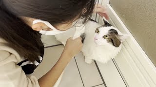 My daughter and calm Mamedaifuku washing a cat in the bath for the first time.