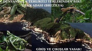 Dünyanin En Tehli̇keli̇ Adalarindan Bi̇ri̇ Yilan Adasi