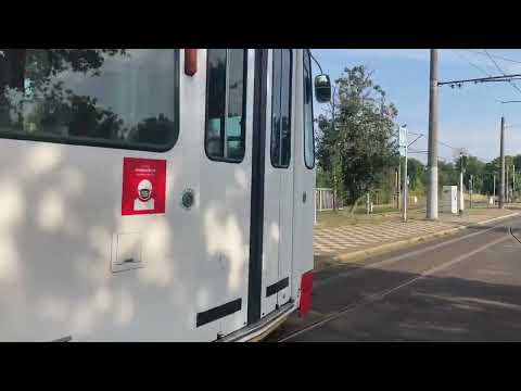 Video: Warum schließt die Carlingford-Linie?