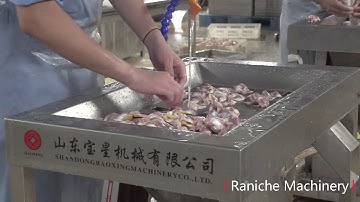 Chicken Gizzard Peeler/Peeling Machine
