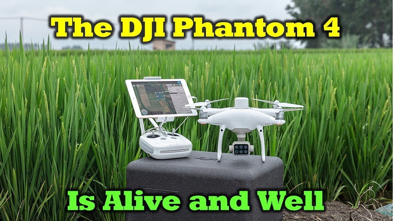 parrot price in bangladesh New DJI P4 Multispectral Drone - The Phantom Series Is Alive And Well