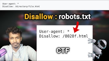 This robots.txt File Holds The Hidden Flag - PicoCTF