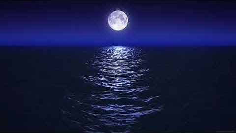 Sleep Music With Ocean and Jungle Sounds – Relaxing Blue Screen Scene – Ocean and Full Moon