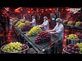 How Thousands of Grapes Turn Into Raisins Daily! 🍇😱 (Modern Factory Process)