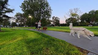 20260819 Brutus VID 5