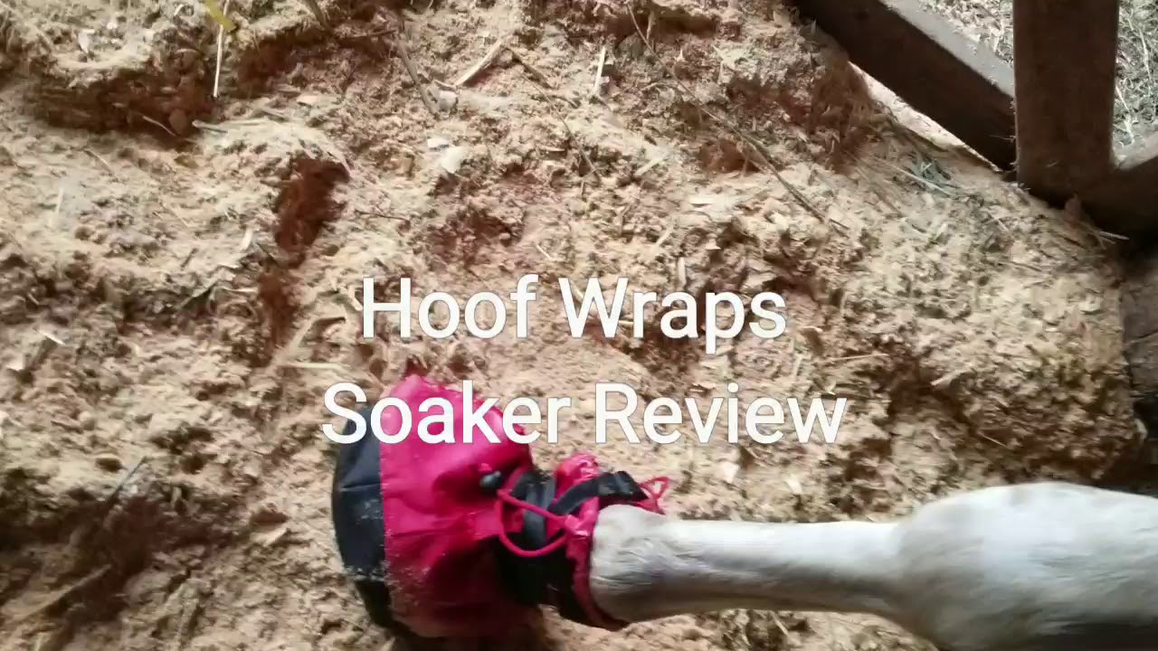 Hoof Wraps soaker review YouTube
