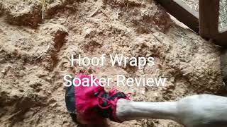 Hoof Wraps soaker review
Just my opinion and experience. Take it for what its worth. The Hoof Wraps soaker didnt work for our baby and his first abscess. Well stick to an IV fluids bag and duct tape. Hoof Wraps soaker review