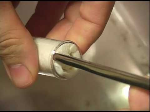 biteable New Tarantula Arrivals!!! (01.28.2011)