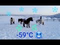 -60°C. 🥶 Рекордно низкая температура. Якутские лошади на морозе! Блог. Record low temperature. -60f