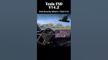 Tesla FSD V14.2 / Park Exactly Where I Told It To #fsd14 #teslafsd #selfdriving #shorts