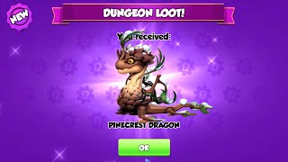 Have you got Pinecrest Dragon | 2nd week Snowbreeze prism Tyrant event | Pool 7 dungeon week | DML screenshot 1