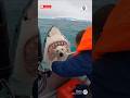 This rescue shocked everyone watching