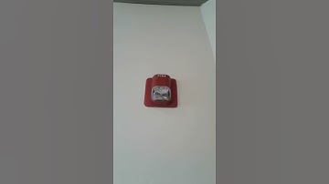 Fire Lite BG-12, SpectrAlert Classic Remote Strobe 15/75 Candela and Annuciator