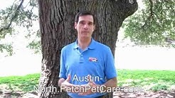 FAQ's for Pet Sitting Dog Walks Austin Pet Sitting Round Rock