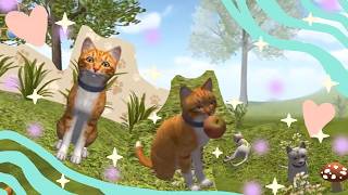 exploring a wonderful kitty cat world in Cat Simulator screenshot 3
