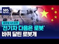 중국 바퀴달린 로봇개 공개