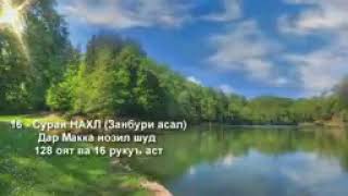 16 - НАХЛ (Тарҷумаи сураи ЗАНБУРИ АСАЛ забони тоҷикӣ)