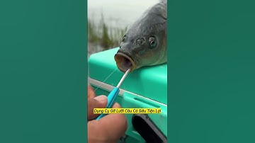 Dụng cụ gỡ lưỡi câu cá!!!! #cauca #fishing #shorts #short