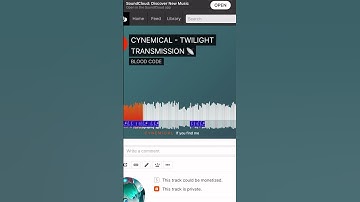 @CYNEMICAL & I used @SoundCloud ‘s comments to create a lyric video for our new song #dance