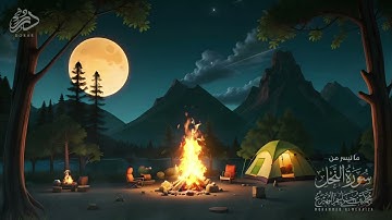 ما تيسر من سورة النحل - محمد المهيزع - #Quran #القرآن #dorar #درر