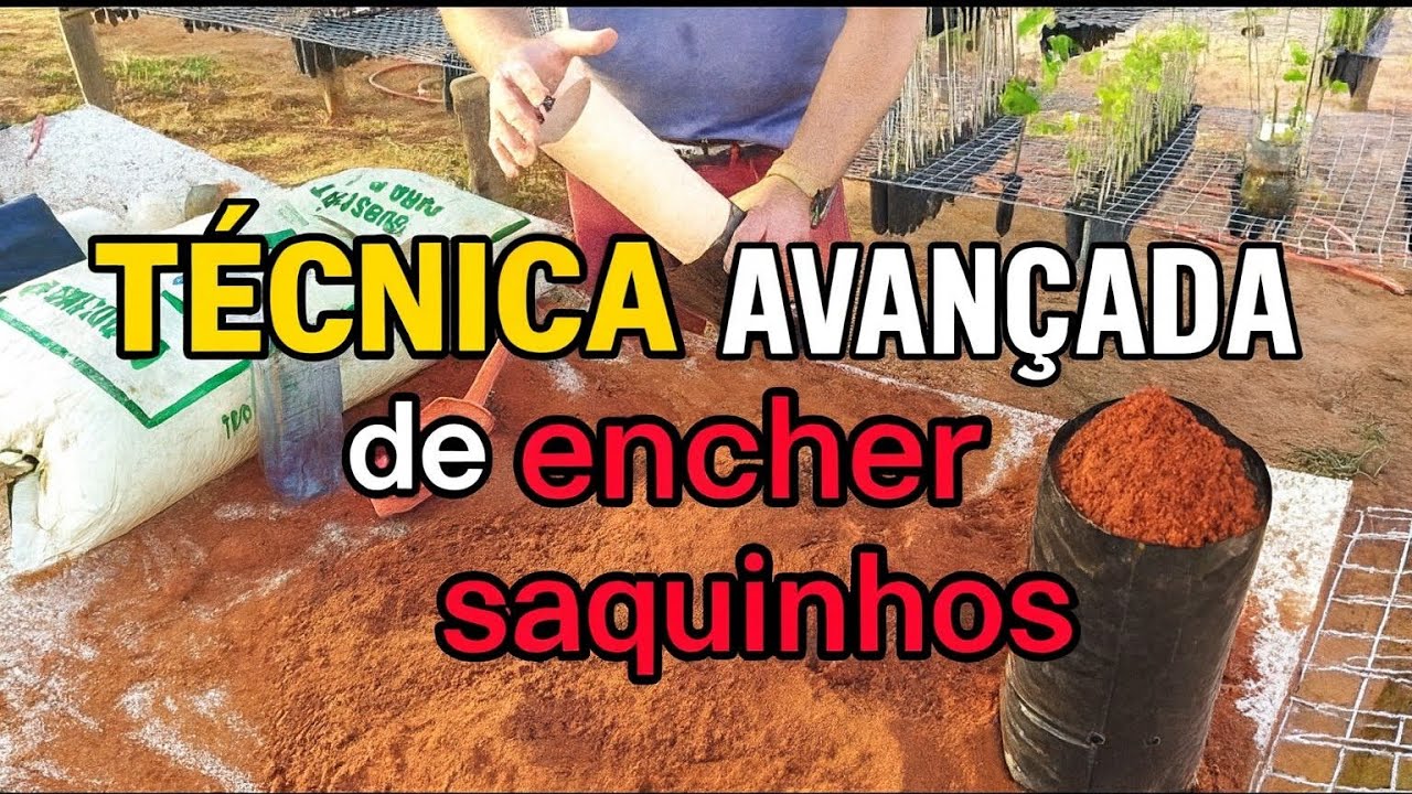 Preparo de Terra e Adubação para Balainhos de Plástico polietileno Transplante de Mudas com Sucesso 