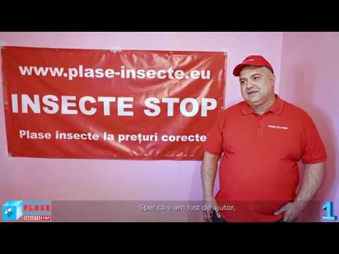 Video: Plasa De țânțari Pe Ușă: Soiuri Cu Descriere și Caracteristici, Argumente Pro și Contra și Modul De Instalare Corect