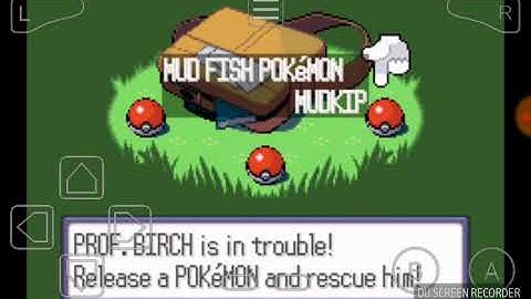 Hướng dẫn chơi game pokemon ruby băng pkhex năm 2024