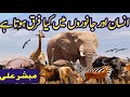 Insan Or Janwar انسان اور جانوروں میں کیا فرق ہوتا ہے 