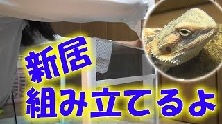 【フトアゴヒゲトカゲ】女子高生SUZUが、タピスケの新しいお家を組み立てる。