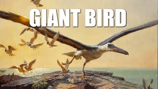 GIANT BIRD: Painting an Extinct Flier with a 21Foot Wingspan