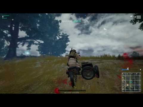 A hilarious narrow escape