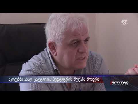 სკოლებში ახალი კატეგორიის პედაგოგების შეყვანა მოხდება