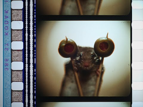 Mousehunt (1997), 35mm film trailer, flat open matte, 1.17:1 ratio 2520x2160