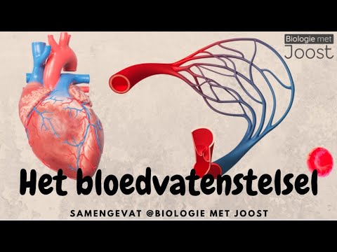 Video: Vrede sluiten met herpes: 12 stappen (met afbeeldingen)